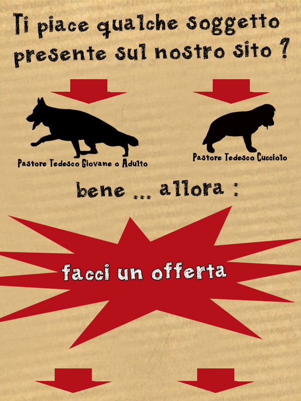 facci-un-offerta