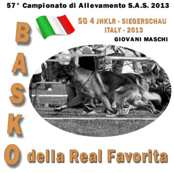 basko-della-real-favorita-sas-2013