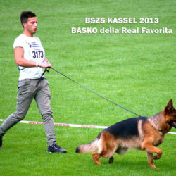 basko_della_real_favorita_kassel-2